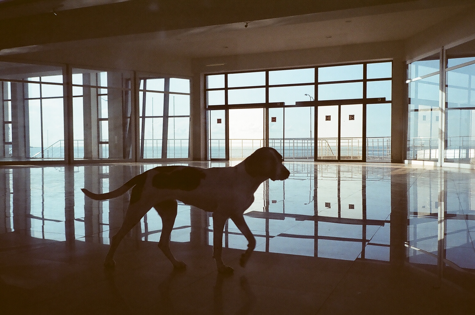 10_00180007