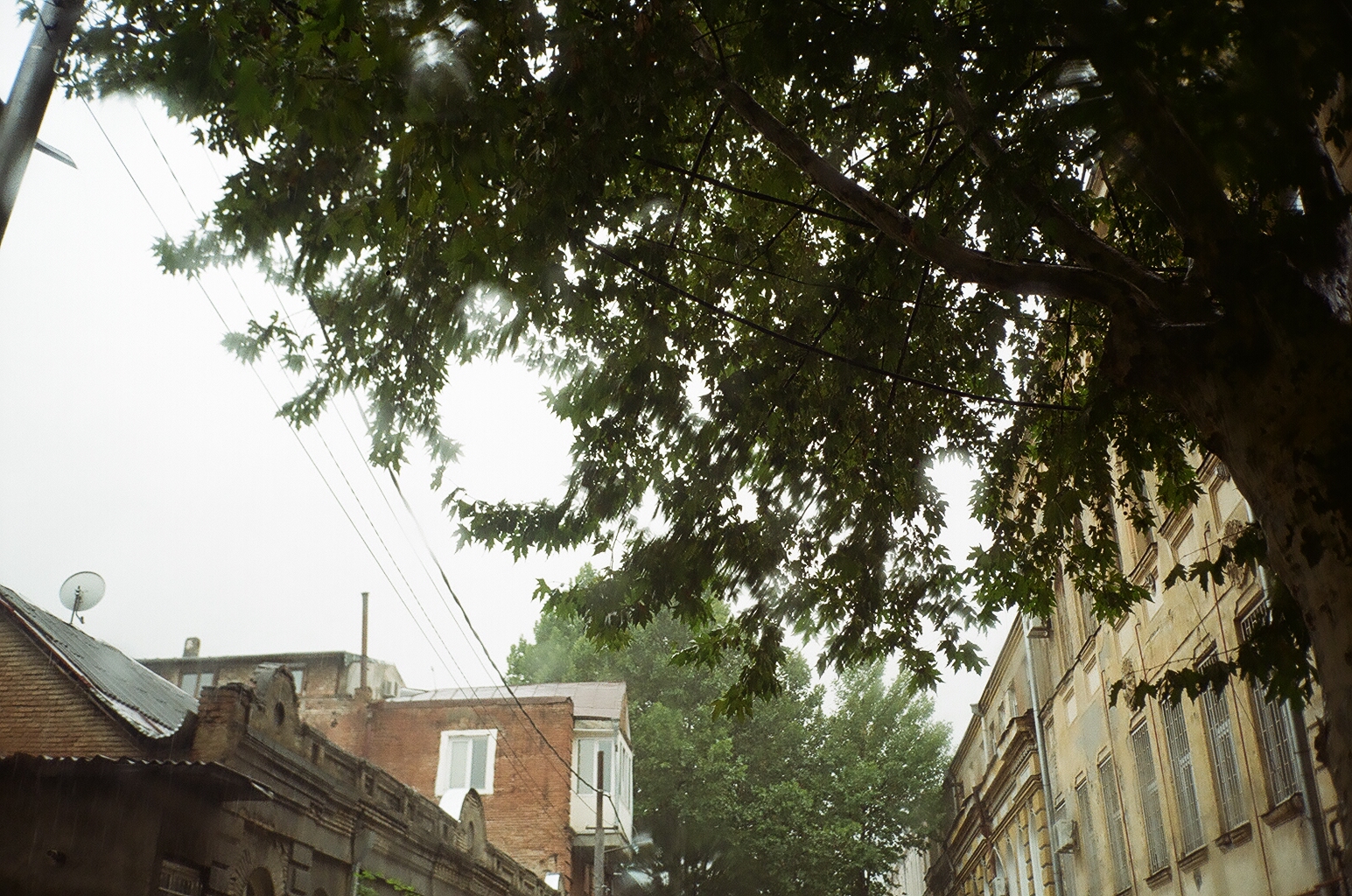 11_00140025-1