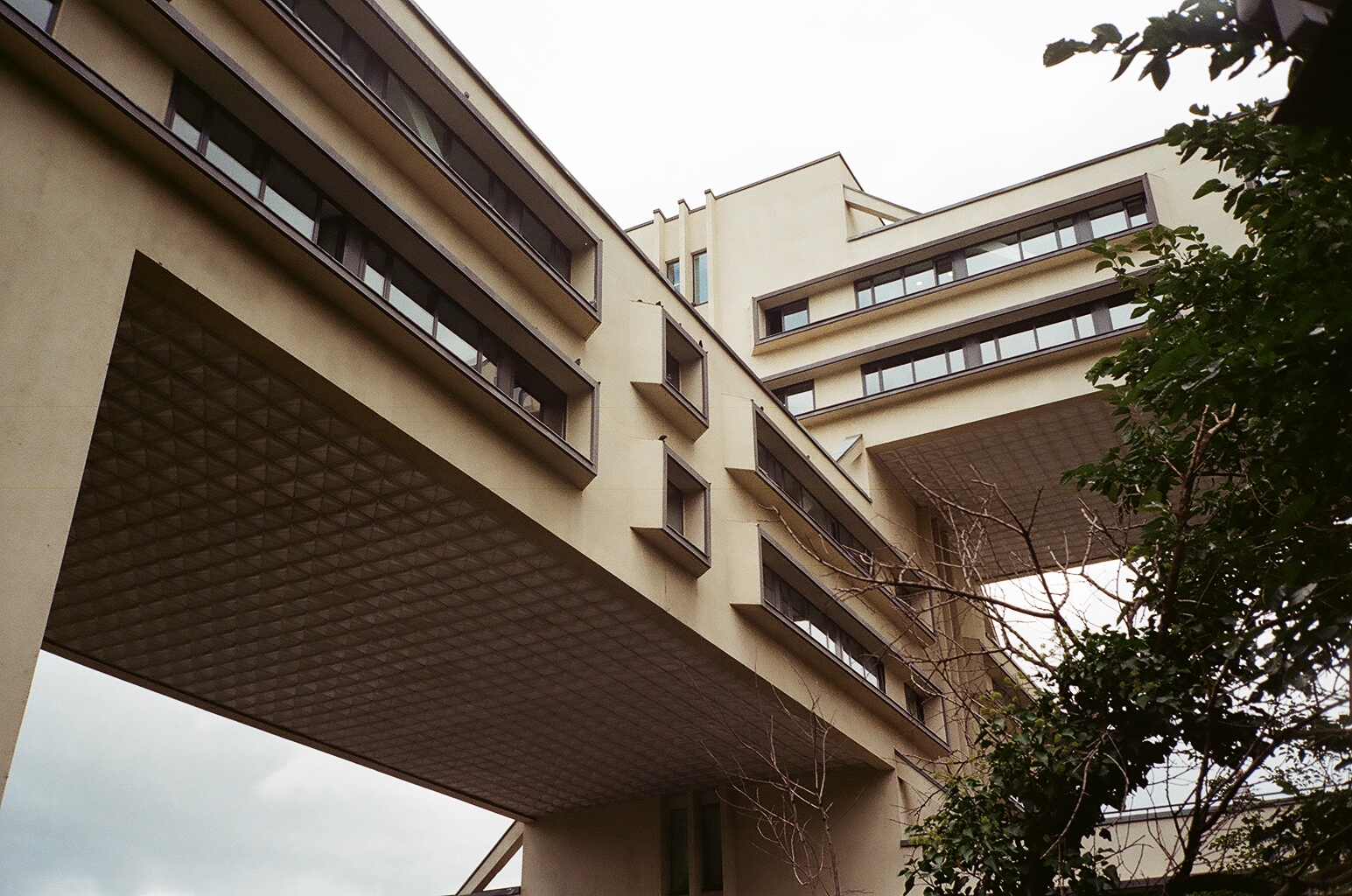 13_00100002-1
