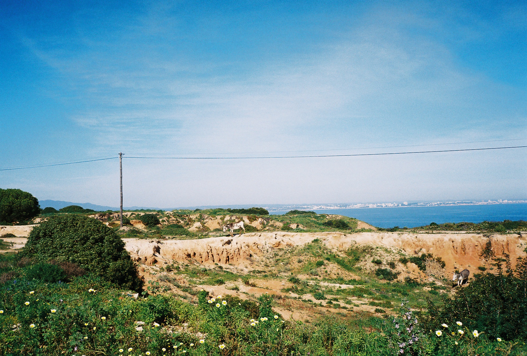 14-R1-20