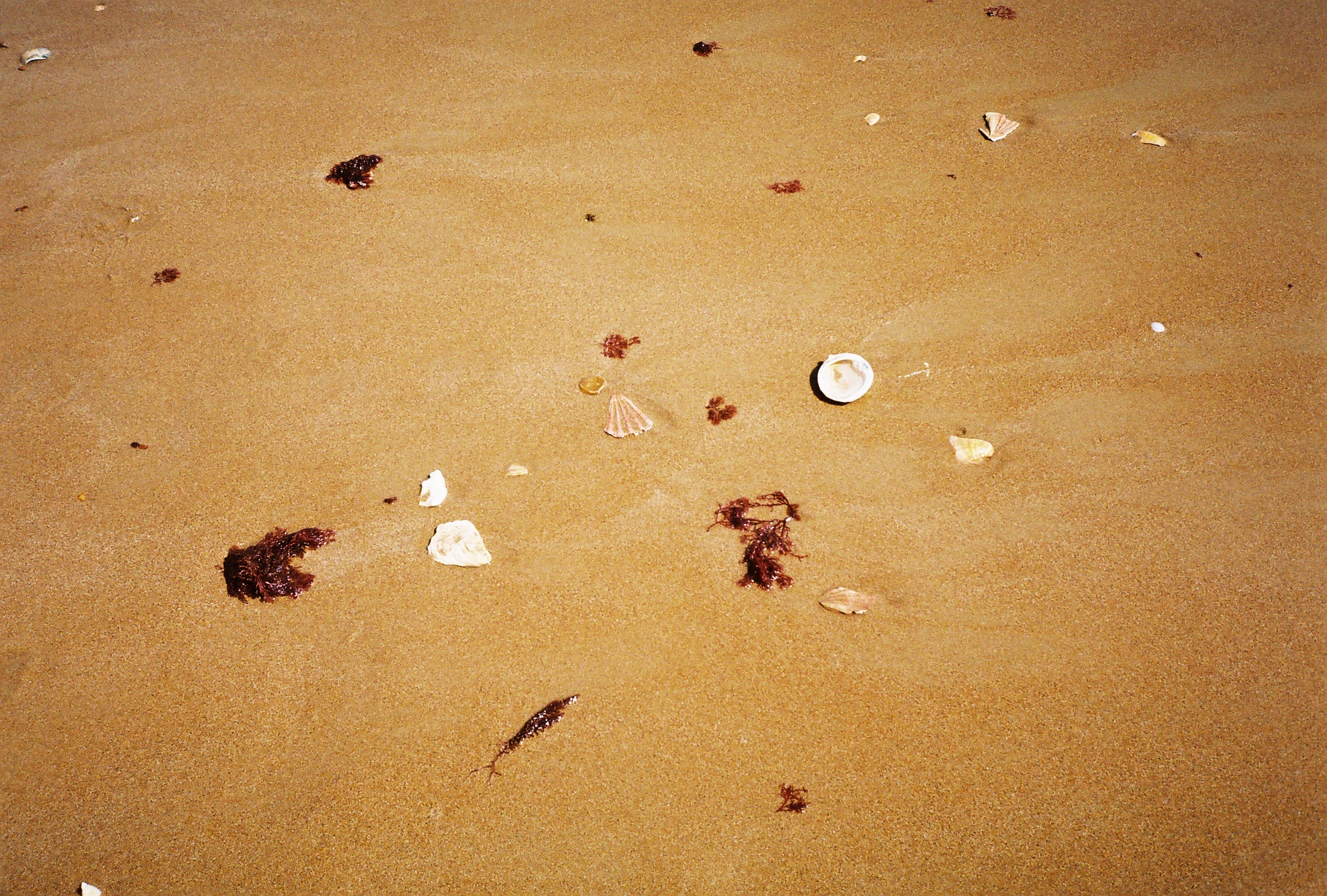 14-R1-29