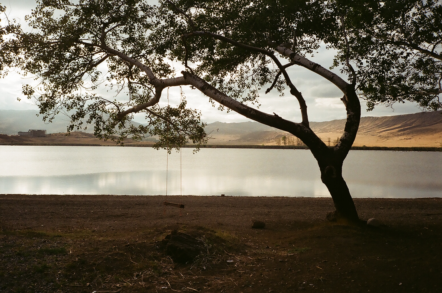 15_00040024-1