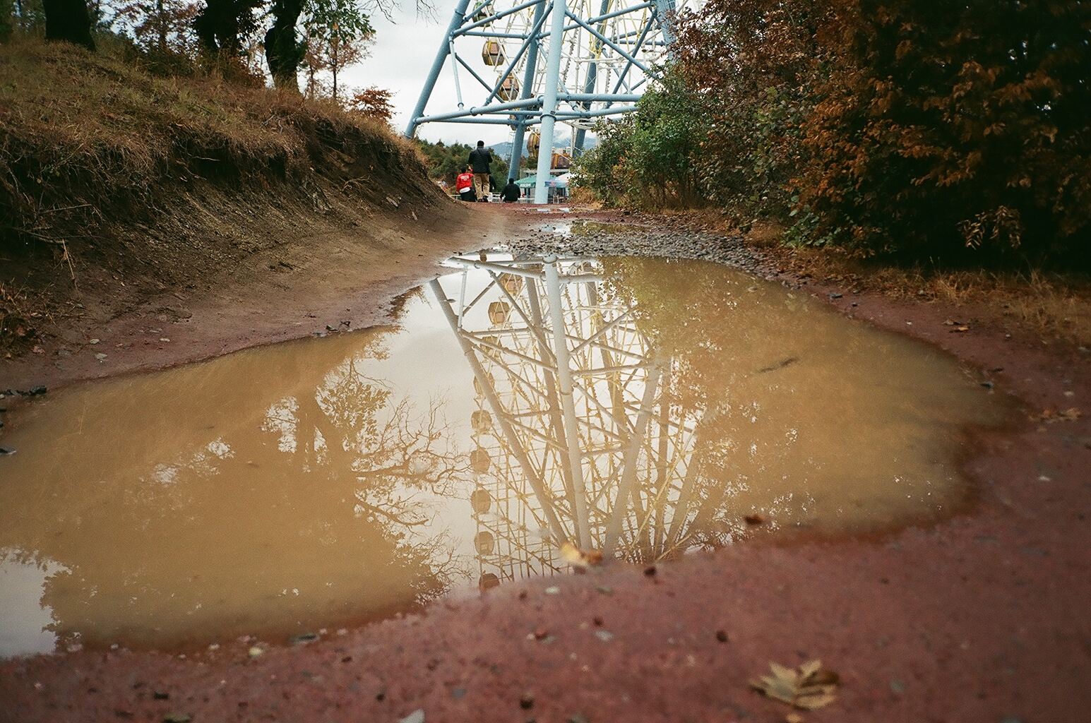 16_00070024-1