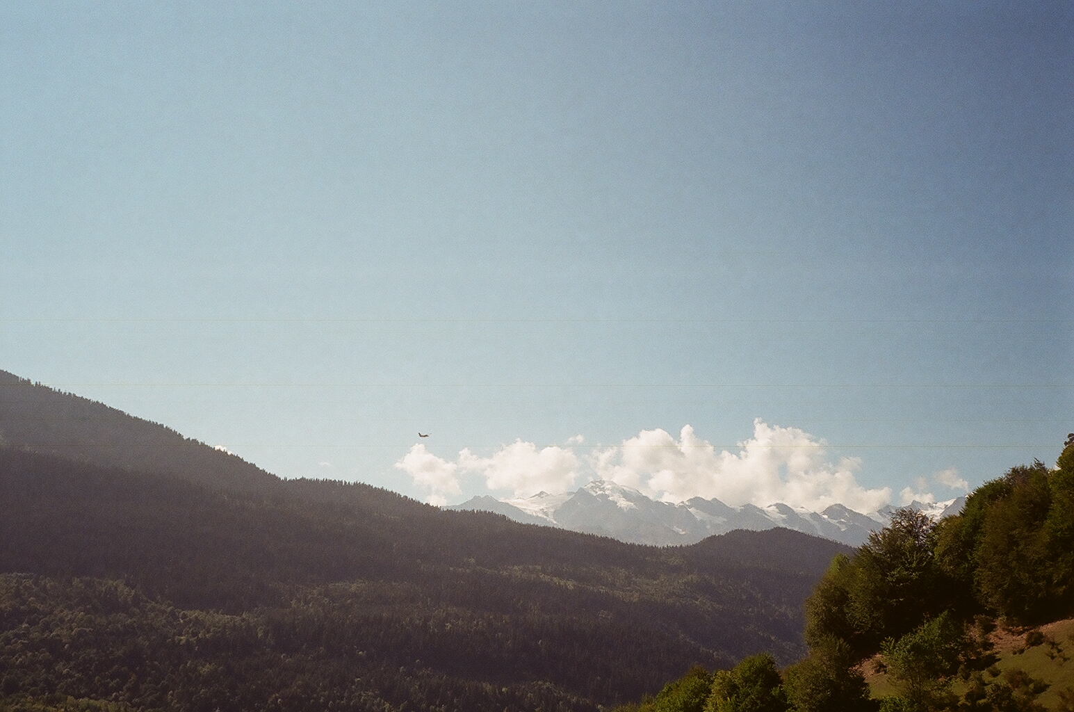 4_00020002-1