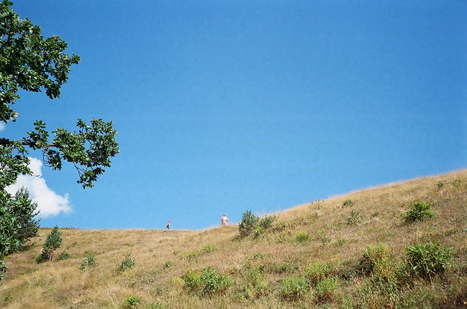 4_00020007-1