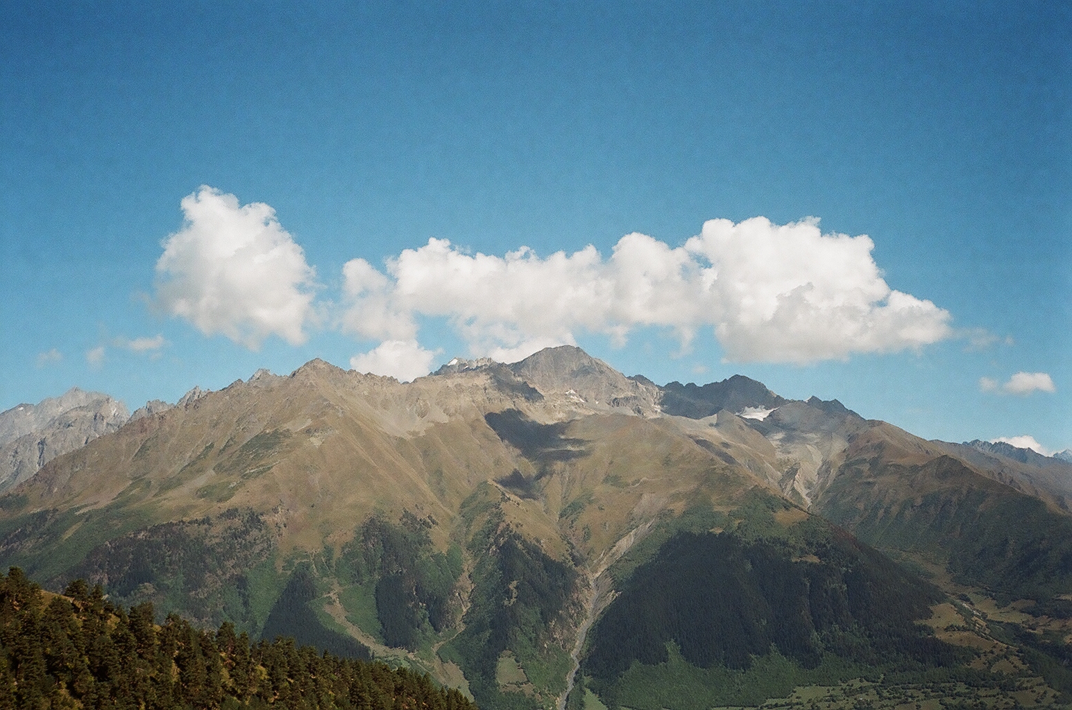 4_00020010-1