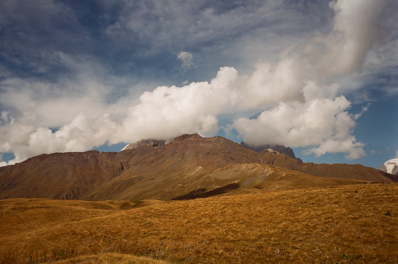 4_00020029-1
