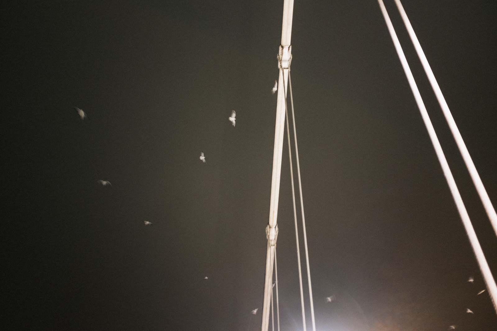 DSCF9136-1