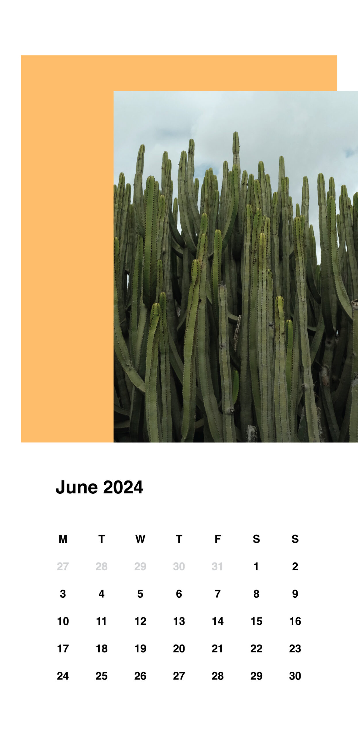 Calendar-2024-photos-selected-colors-outlined-offgrid-07