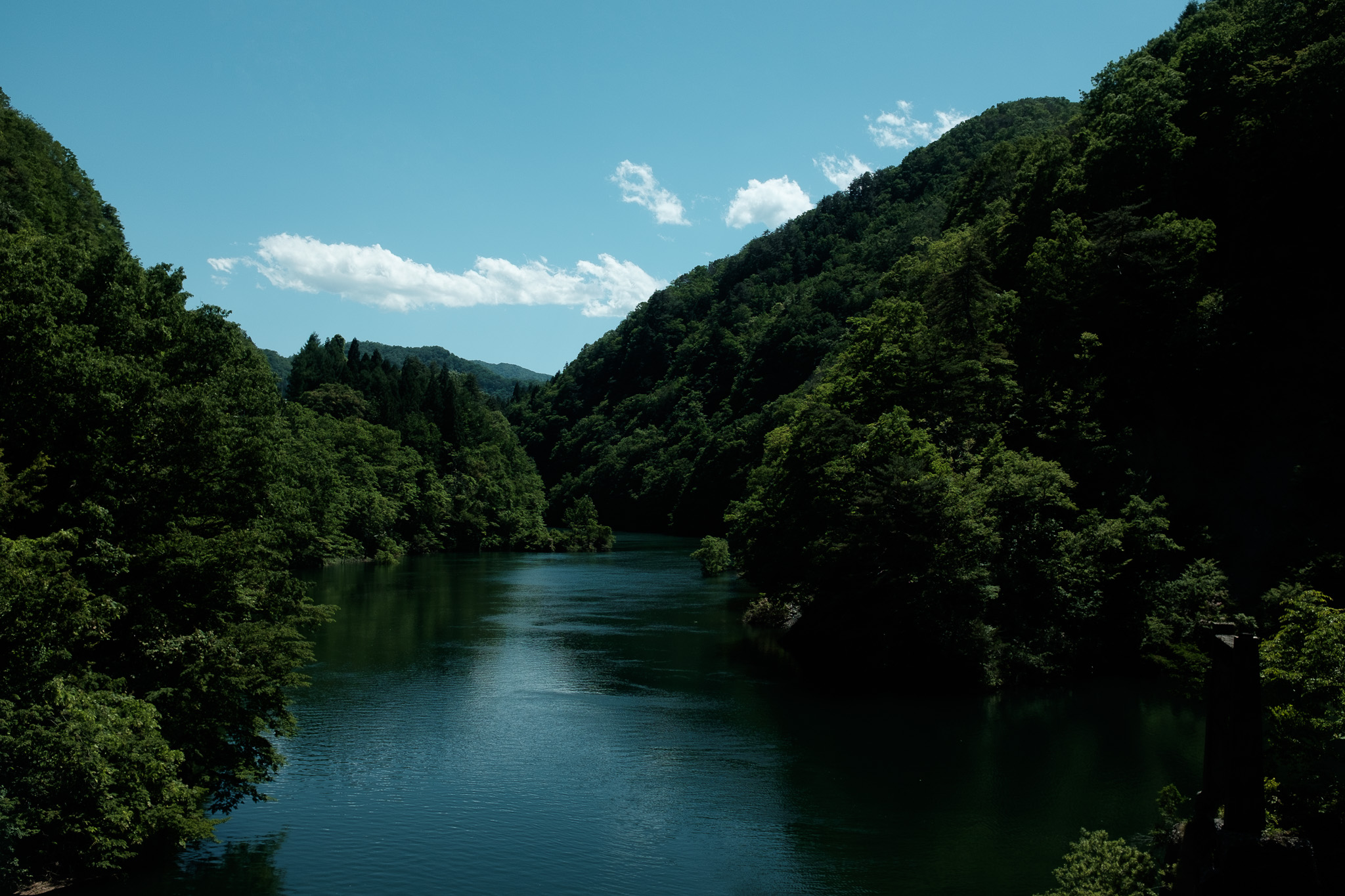 DSCF1691