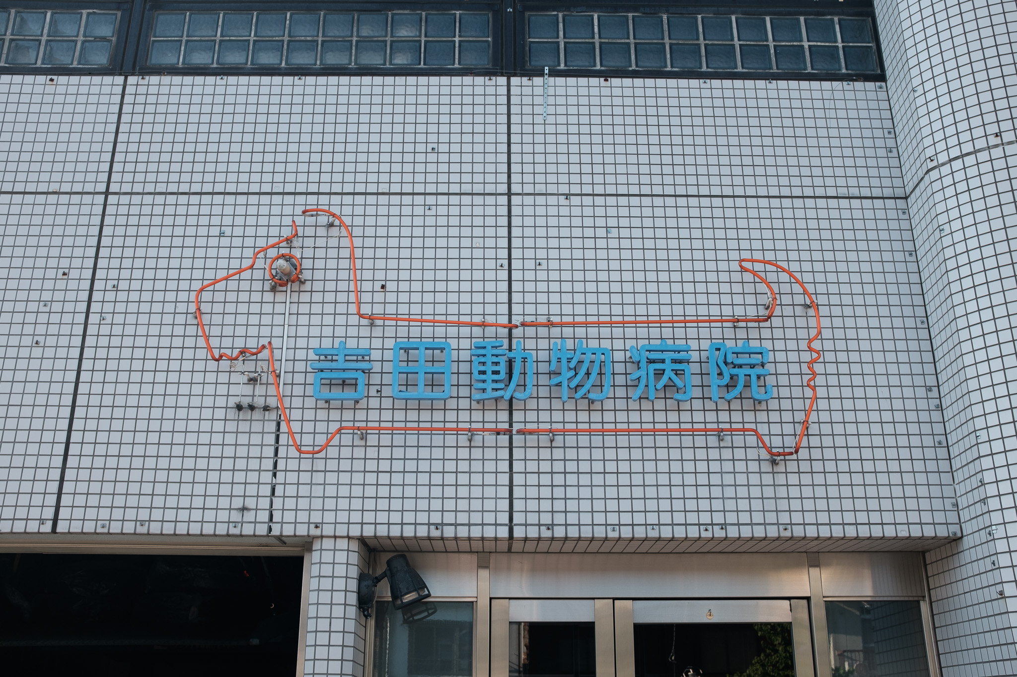 DSCF1718